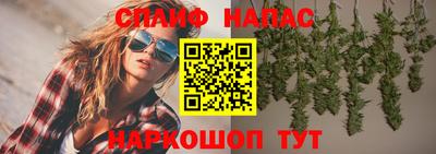 прущие грибы Донской