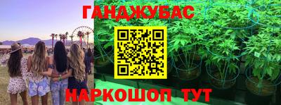 прущие грибы Донской