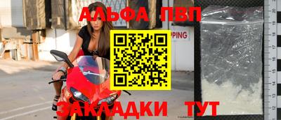 прущие грибы Донской