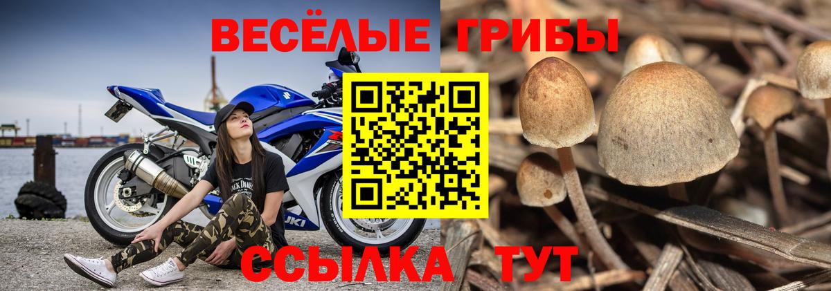 Галлюциногенные грибы мицелий Пермь